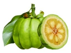 garcinia cambogia afslank vrucht