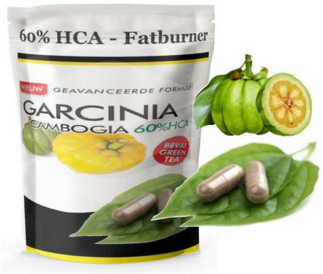 garcinia cambogia - HCA Fatburner afslank pillen